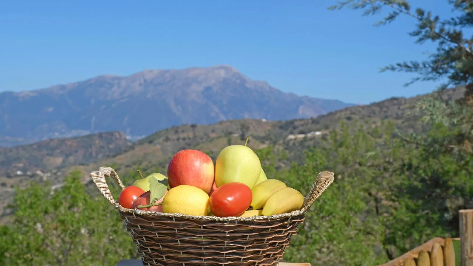 Holiday home Casa Avila Comares Spain